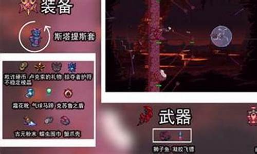 泰拉瑞亚灾厄召唤师装备大全_泰拉瑞亚灾厄召唤师增加召唤栏